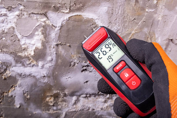 Best Residential Mold Removal  in Salem, NJ