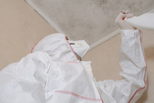 Best Mold Testing and Removal  in Salem, NJ